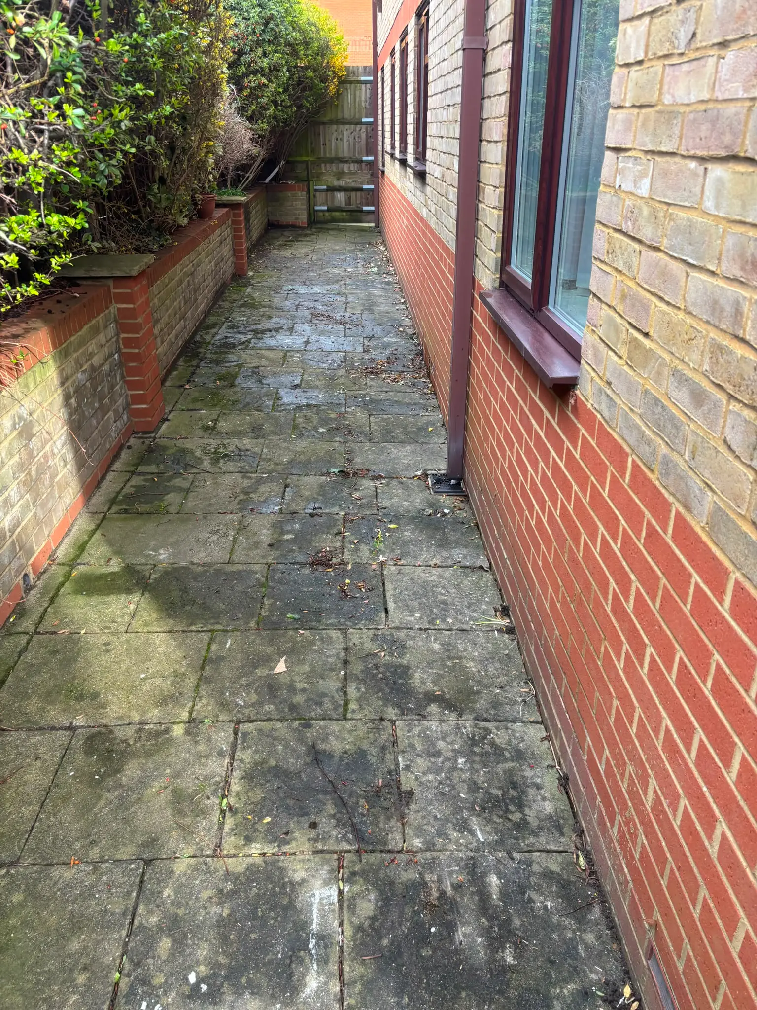Cleared paved side passage beside a brick residential property.