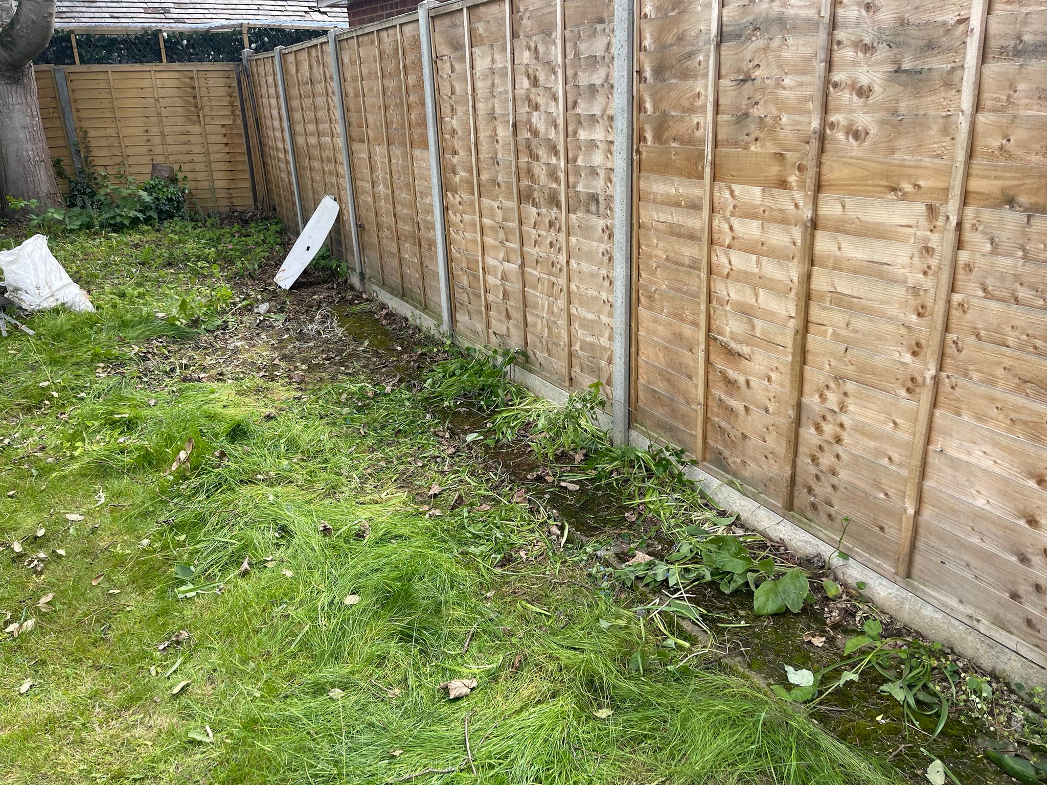 A.M Rubbish garden clearance After