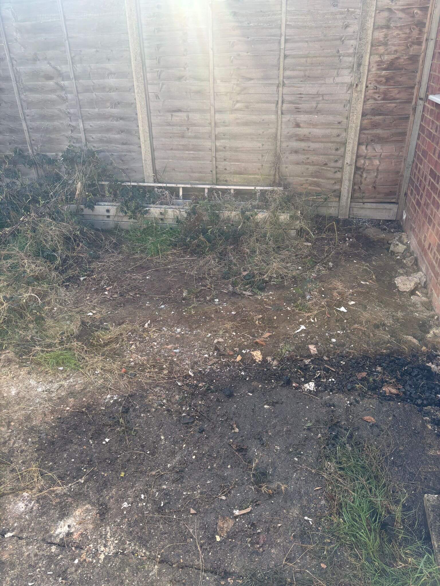 A M Rubbish Garden Clean 2 after A M Rubbish Garden Clean 2 after